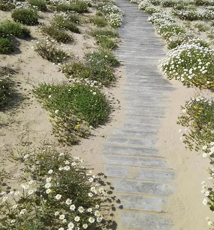 Holiday home Herba Salvia Casalbordino
